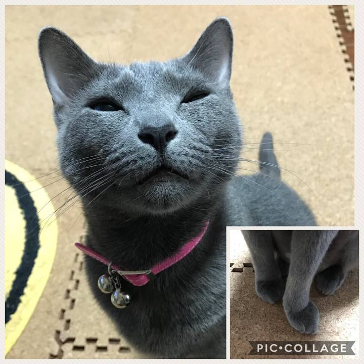 B169ad1e 81c9 4bd6 8c01 c52c60c90011 1522186624928