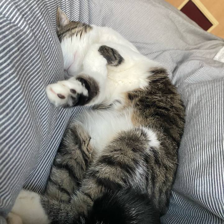 B169ae95 13f0 4054 8de6 b93028821ef7 1619316808305