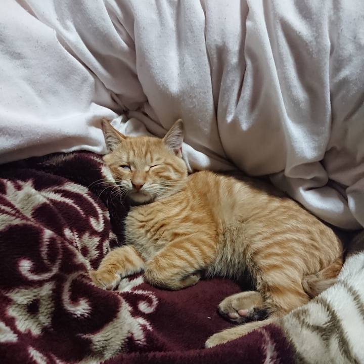 B169c581 dec7 4431 8f90 7d35c453da6d 1634903651154