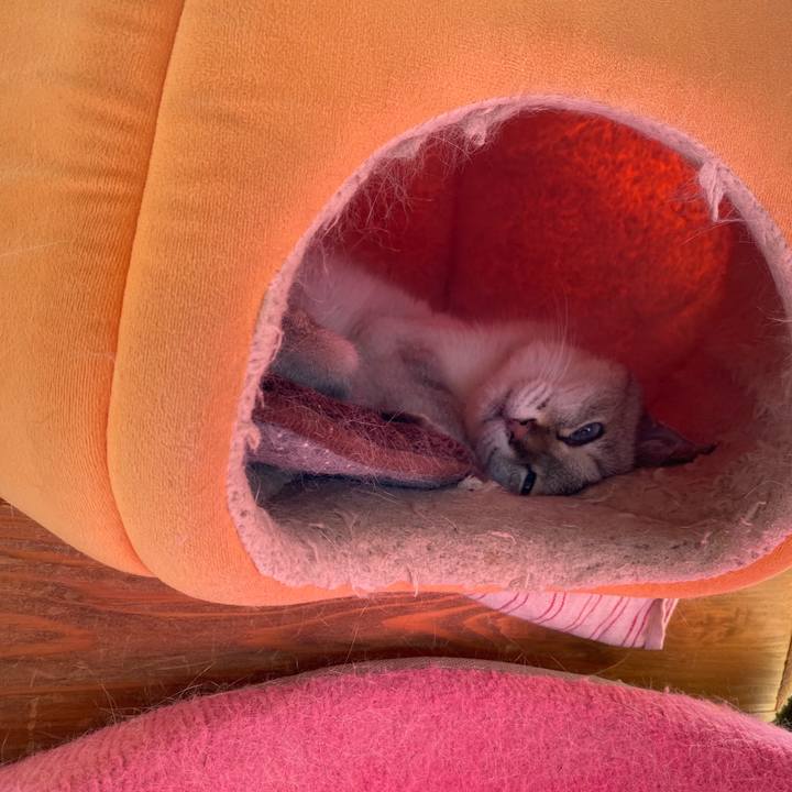 B169e795 e14f 4723 bf10 6ed51f0dcd7e 1601956423762