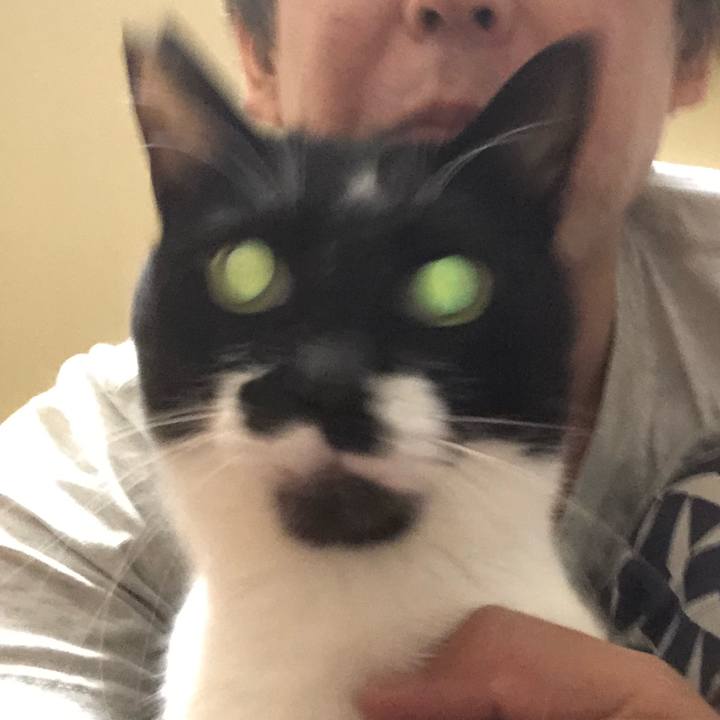 B169e8b9 6a2f 450d 91ab d8a9c5a814c0 1624566926375