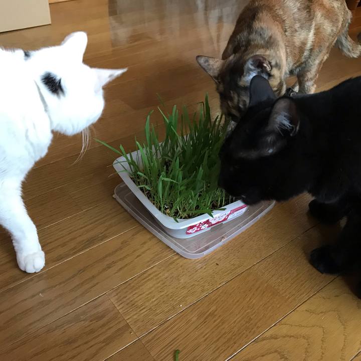 B16a152f df3f 45f5 a86e 7fd8ed8ba0cf 1648245118982