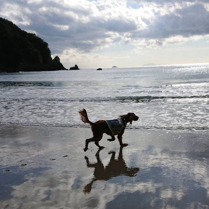 B16a2c0e 52df 4198 9789 698d8902c460 1756275438165