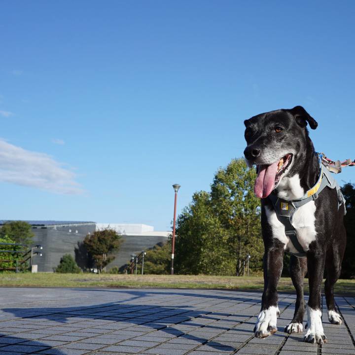 B16a3852 11f1 4861 811b 9a7252efca69 1760676782536