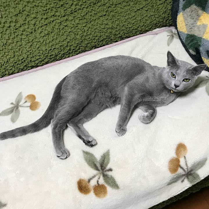 B16a46fc 6f7f 433c 88ff 2fdf86cd8fb4 1520251212536