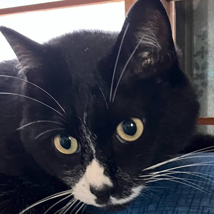 B16aa231 4d1d 483e 90cc 7e39c4b2fbce 1758943783433