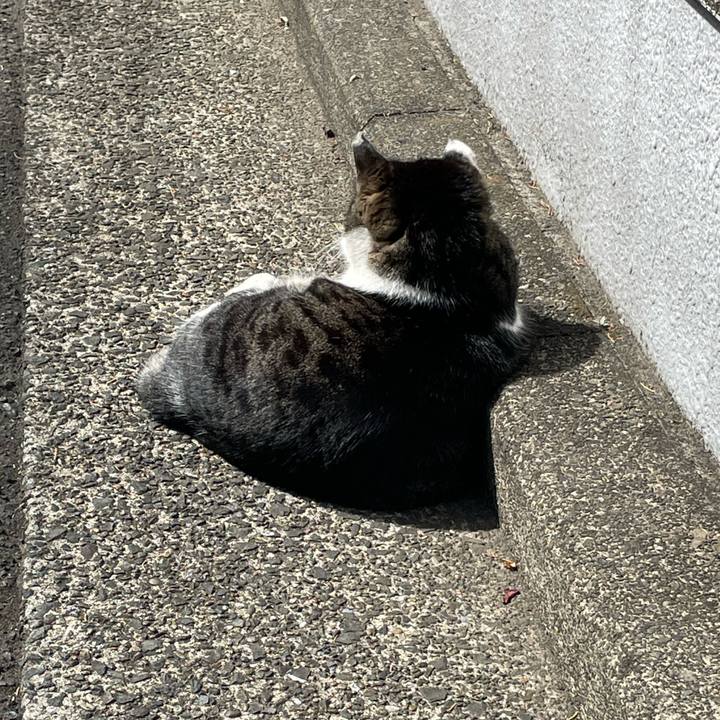 B16aaf89 f80d 44d8 9e8f e948baa440a5 1647412032144