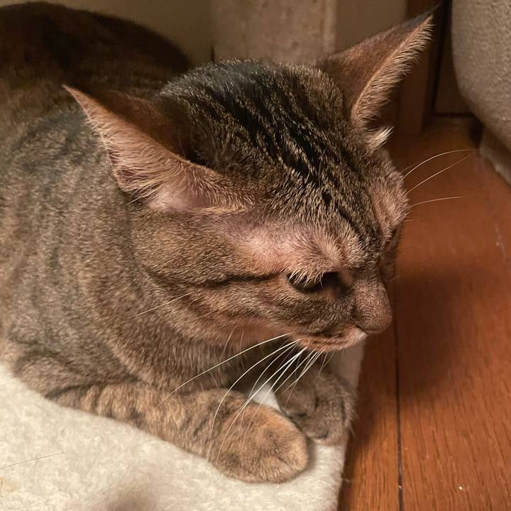 B16ab434 f094 4901 ad91 f546759caba4 1697712532161