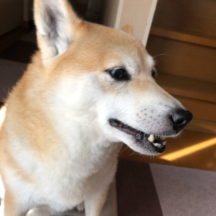 B16accdc 9fdb 4a11 945c 99d786cdd696 1605531482040