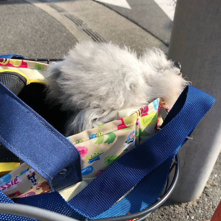 B16acd3e 28e4 4691 ad48 63adeca98964 1626764202025