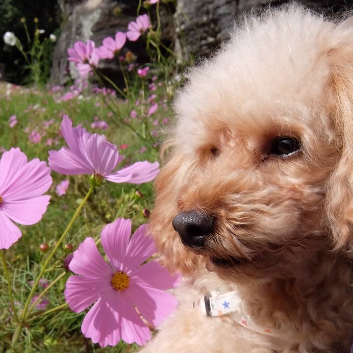 B16af876 be6a 46df a83a 06dc9693fd59 1539512036298