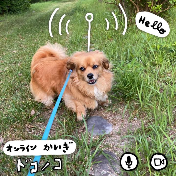 B16b028d e89d 4170 ba1d abfcdd12a44f 1591565883978