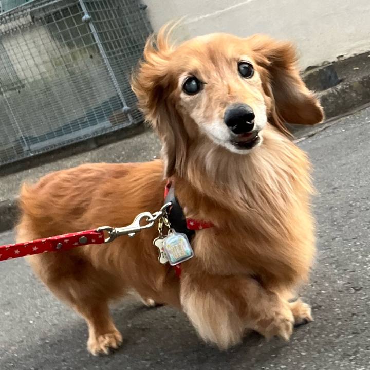 B16b0b39 6c83 4496 8756 dfebfad0c99d 1684415342202