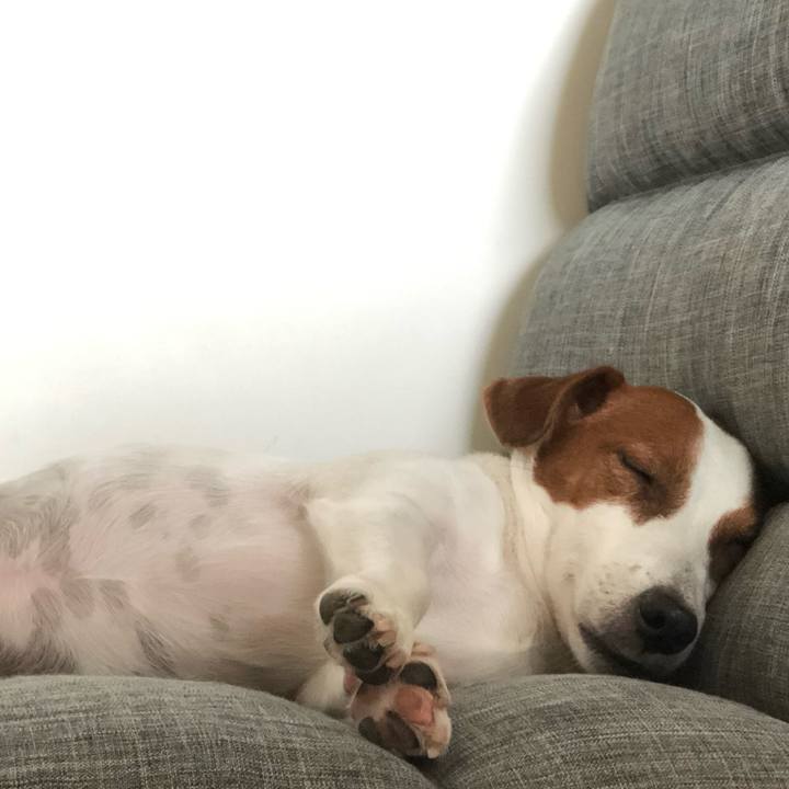 B16b4209 43c3 4cf1 9472 676d47b02fb5 1597364881070