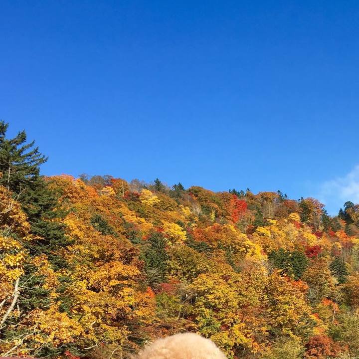 B16b4904 b007 4786 bea1 eacd749dd140 1571407535094