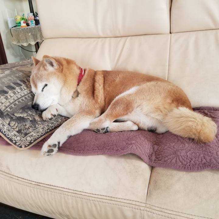 B16b9905 dc54 4e3b bf27 8e1e9c8040af 1743809829581