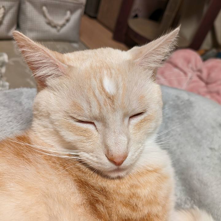 B16bc0f6 82ed 4c8c bc24 e997ba252c7a 1700821618792