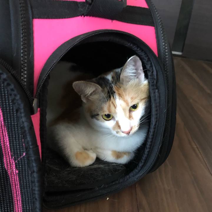 B16bce6d 4bae 4a66 a121 968da26e4c3b 1597115282223