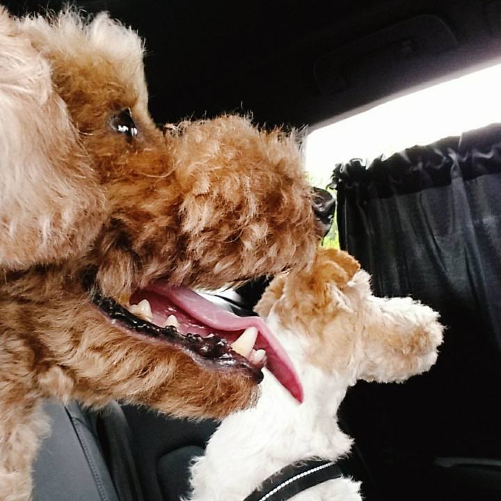 B16c00ca 32c1 4979 83e1 f1ef77034dd8 1522281225071