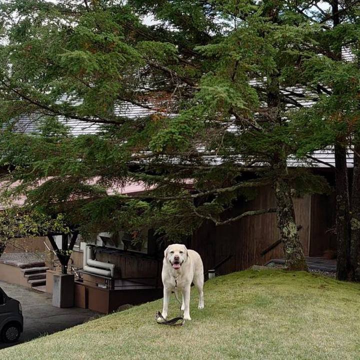 B16c569b 76f9 4144 b99c 9214da41f95e 1726741677982