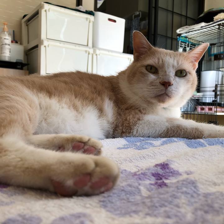 B16c9c89 9b2b 40db 8488 0e6743f136b0 1630109153873