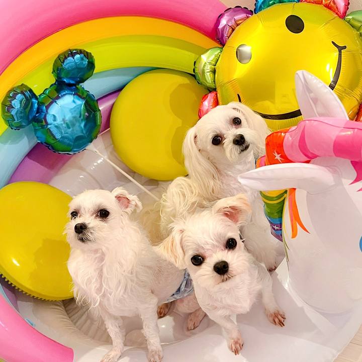 B16cbc18 6510 41fd a598 df313ff32815 1690276610251