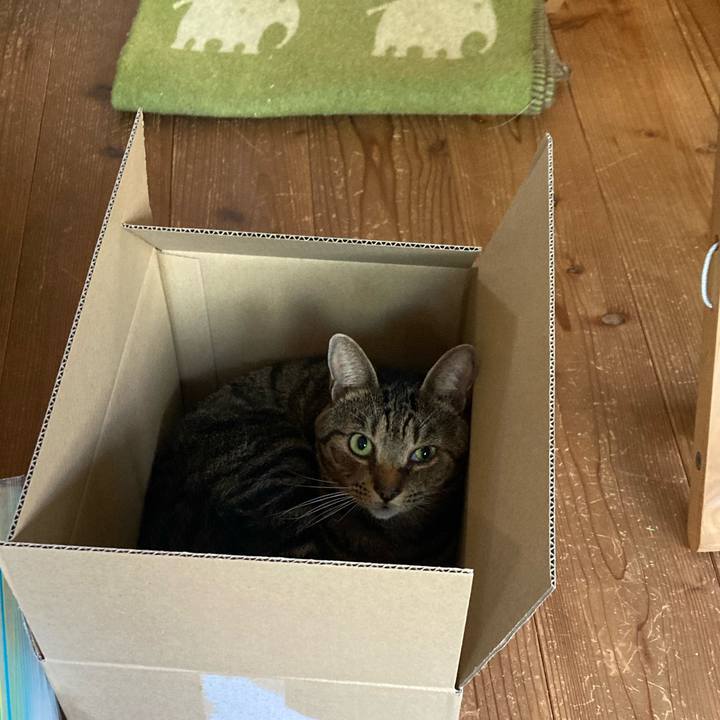 B16cbd72 0c39 431e 99d3 a7c8e96d3f26 1750547852432