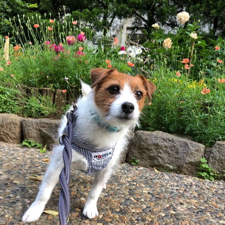 B16ccaf4 3eaa 412c a205 5e7ff32a2921 1525470313987