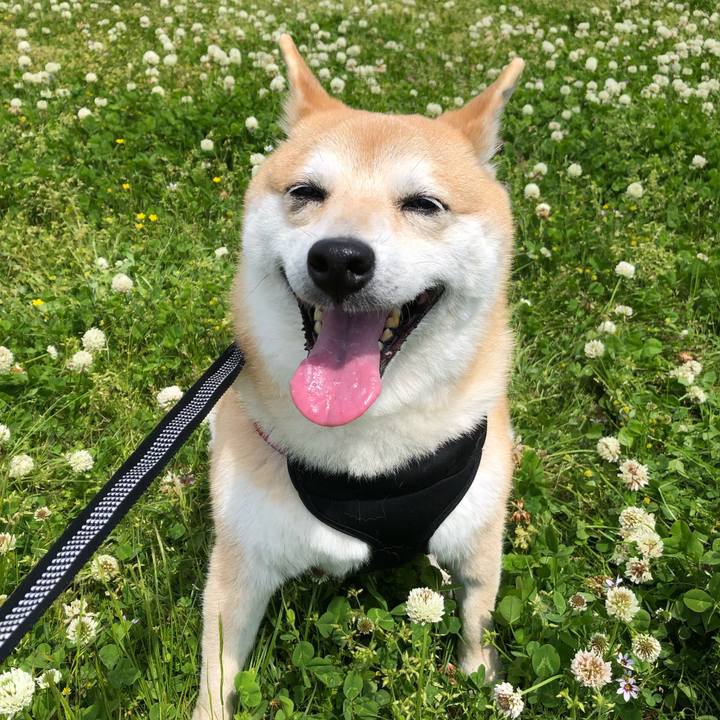 B16cd140 5a98 4b46 9522 cbbadeea3b02 1557292412440