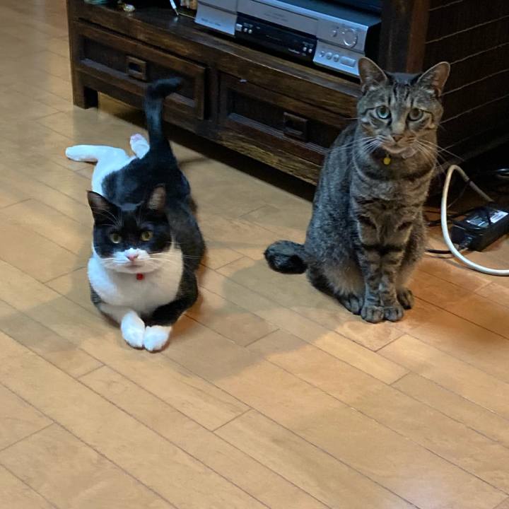 B16d25c2 ca4a 4a61 b6a7 224c60c3fcdc 1611129633818