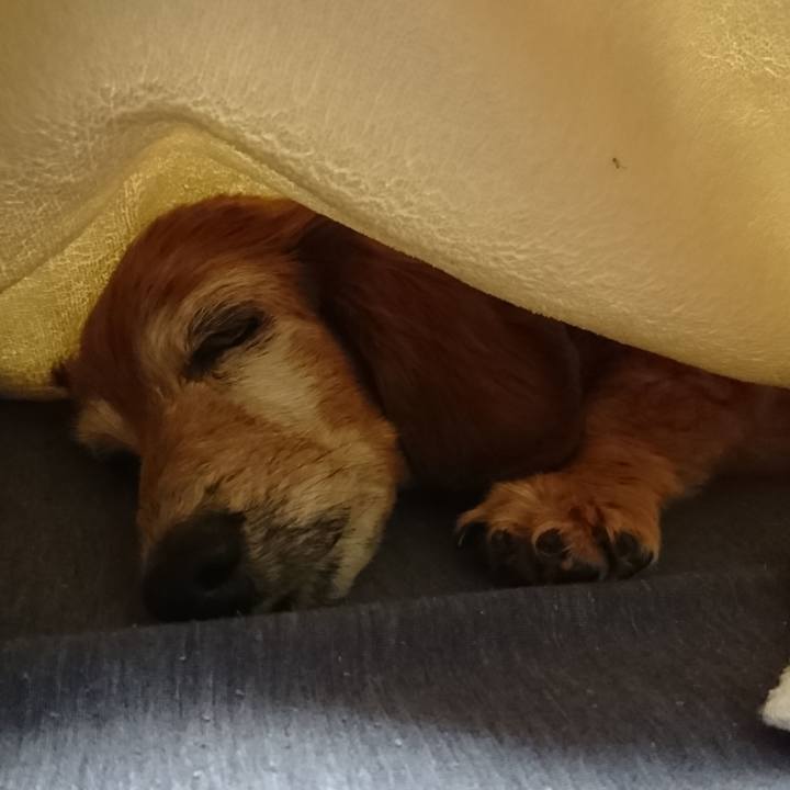 B16d74cc e766 409e a47a 1e3a9750cc83 1551720819003