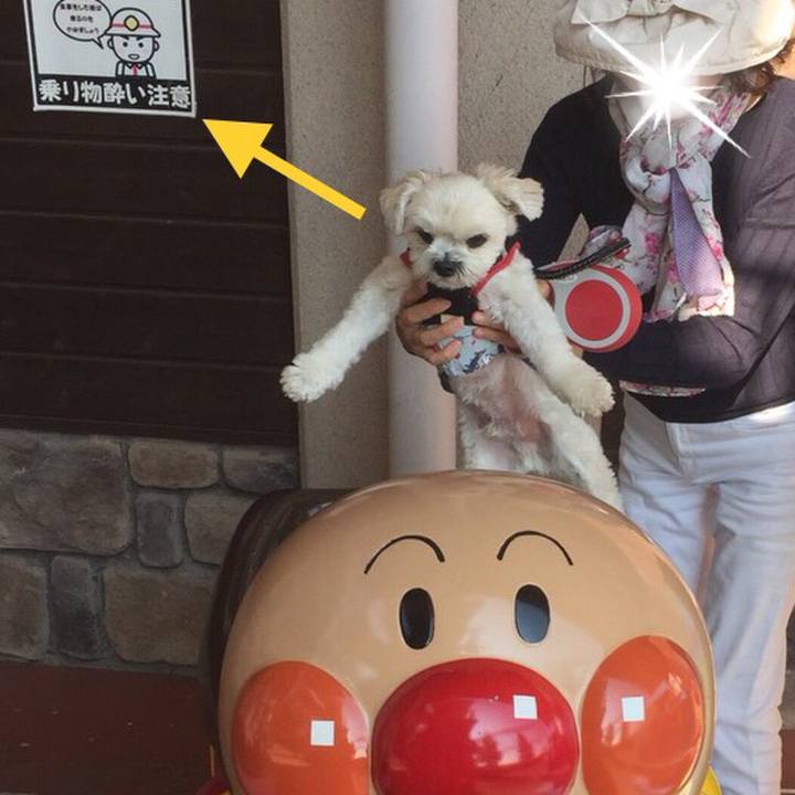 B16d9720 6620 480b 88f7 ff0dc1a2ad2c 1510489983896