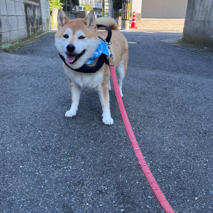 B16dc4a6 56d9 4273 b1ec f9aa9da96a0a 1721689194142