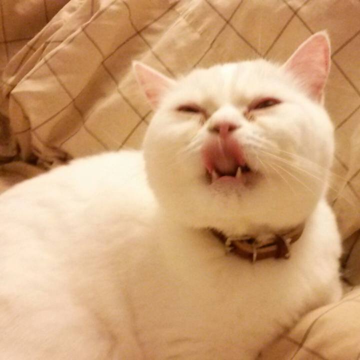 B16de336 b05d 429f bd79 5331a072f9d4 1525015209679