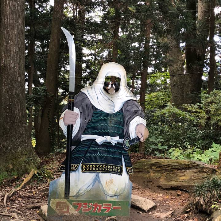 B16ded59 2d5f 4654 b6a8 55b8aab546fa 1541031727823