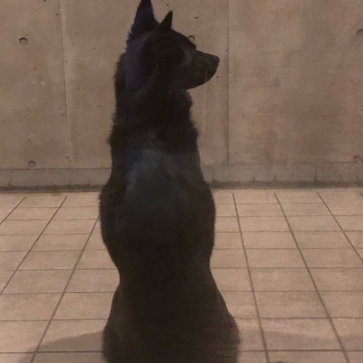 B16e0fde e40a 43e8 a753 3675bd702541 1557932248081