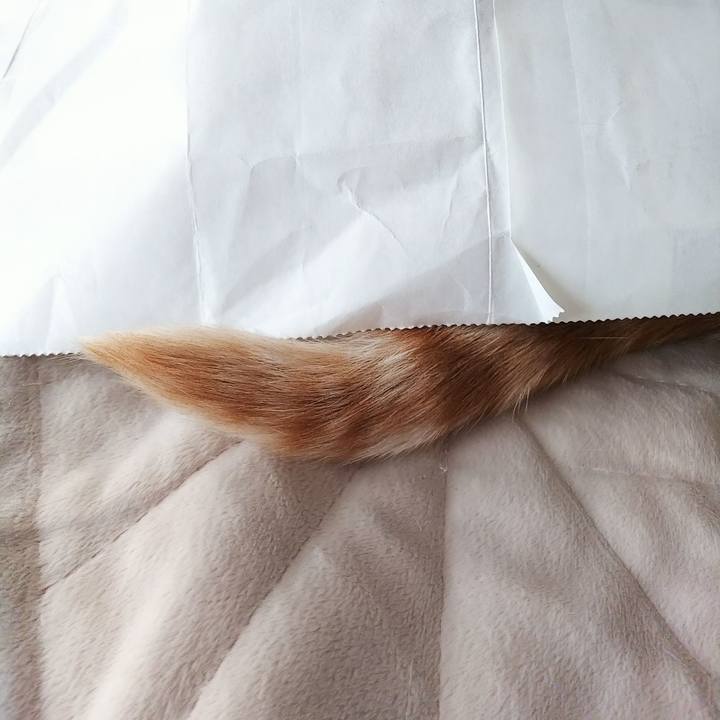 B16e419a ccef 499d 8a86 a977732f83cc 1649452364438