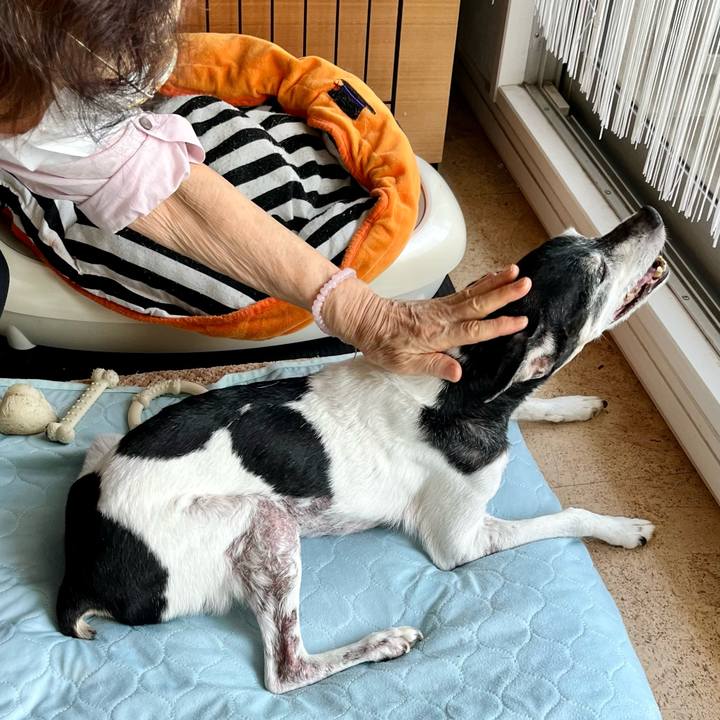 B16e441b 9def 41ab 8558 34fe54aee140 1658061986794