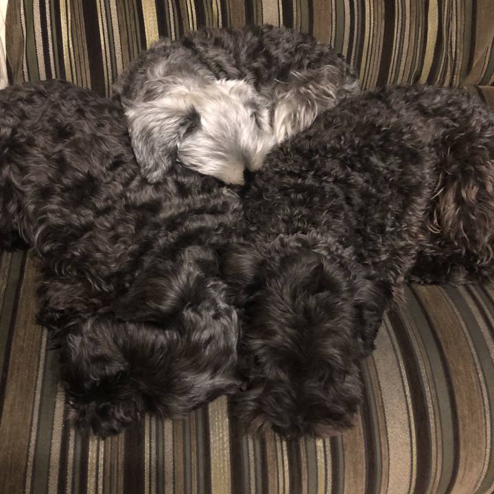 B16e4bcb 45ea 419e b41d 94a2c2913d85 1577628502317