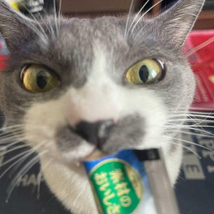 B16e4dfa 677c 44b9 bfaf 1c4e4311323b 1724136086213