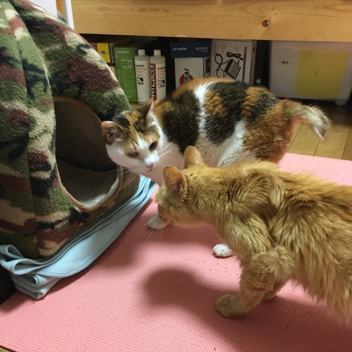 B16e9b76 d4aa 430b b291 ba60a5d4e8a1 1611475719975