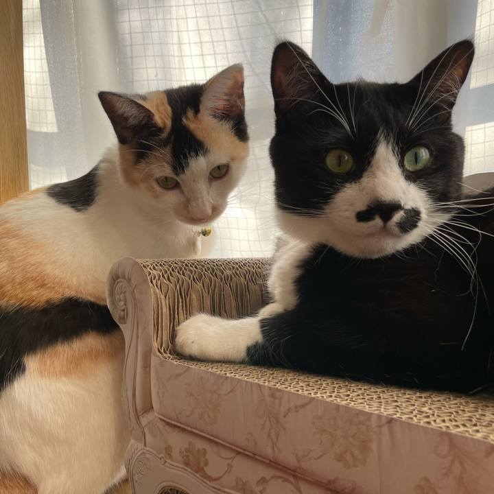 B16ef39b 4797 4b4f 8155 c3b087aa393d 1673136166441