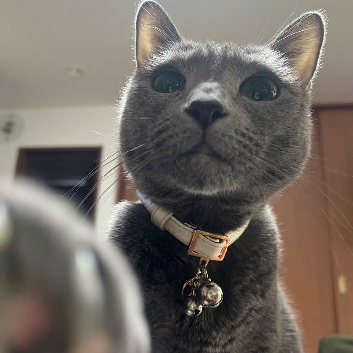 B16f2255 1b6a 48d5 9f9d cad3b90cac2f 1740093978079