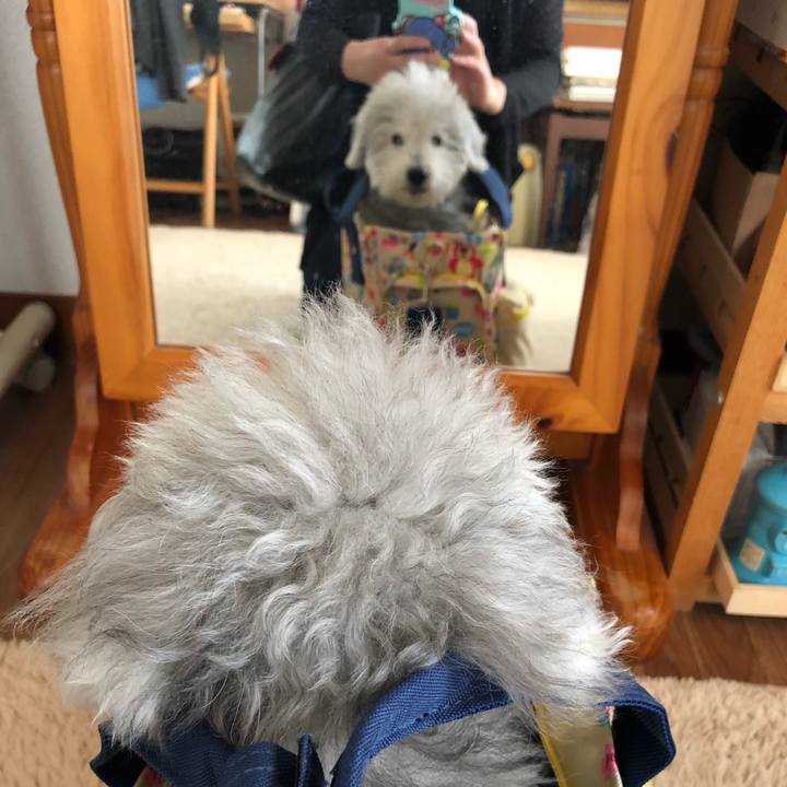 B16f6b7f 6a70 4d69 b477 6d1583e235b2 1621912296049