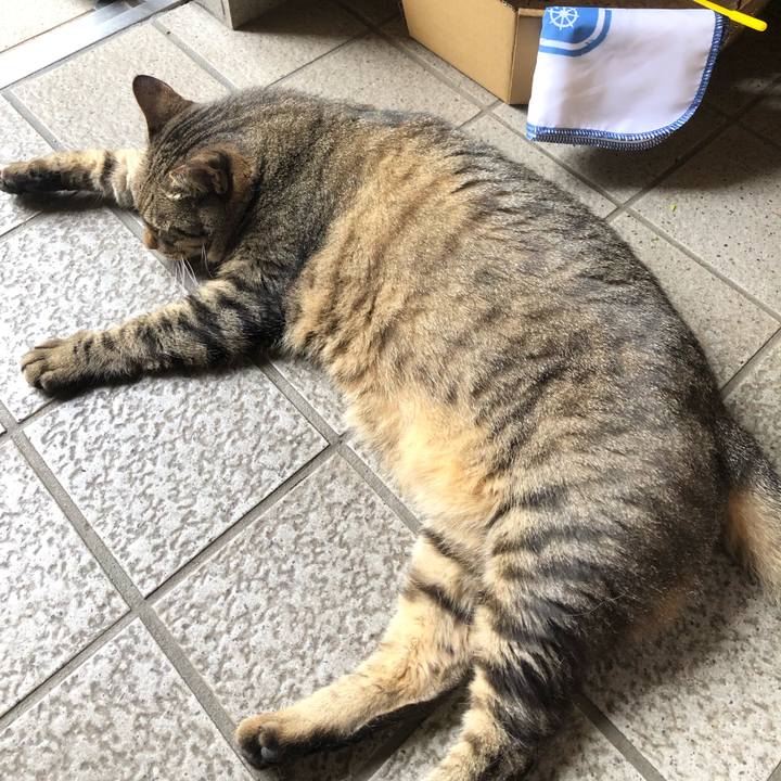 B16f8b3a 91b7 4988 baab 4cb05770eb07 1563449212819