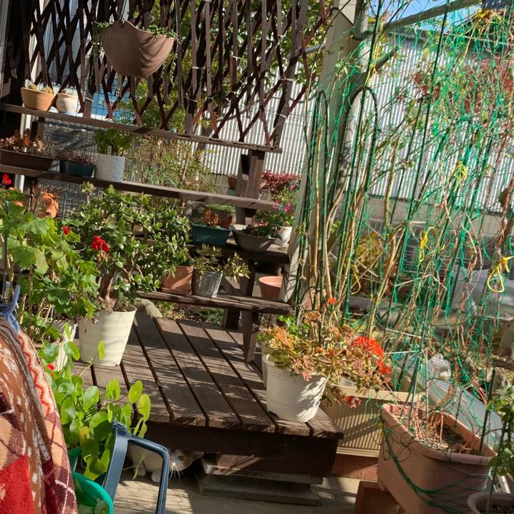 B16fae48 36e8 4566 9dc0 a22959eda637 1573616351570