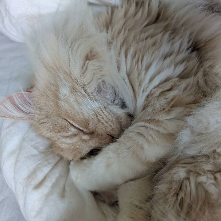 B16fd8d4 8a67 4178 bf48 7861accbf331 1744594381503