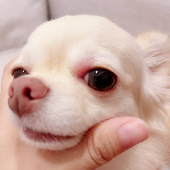 B1705539 f551 4197 b060 1d107a207ba4 1691926255039