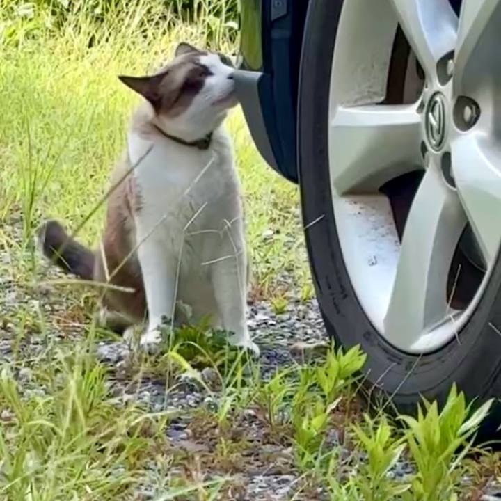 B1706566 a832 4c77 ab60 a05790e006d8 1756451614030