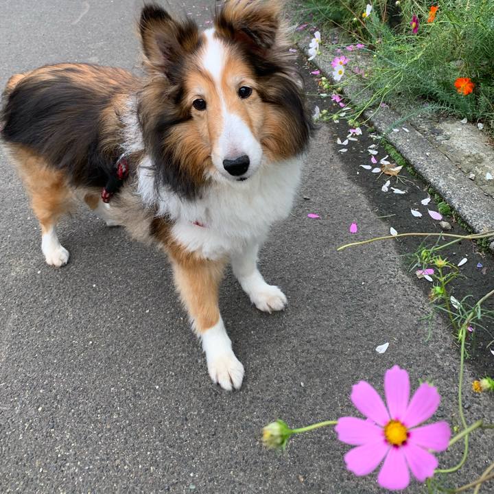 B170777a 2c15 4c4c a09c a406baed41d8 1599997535783